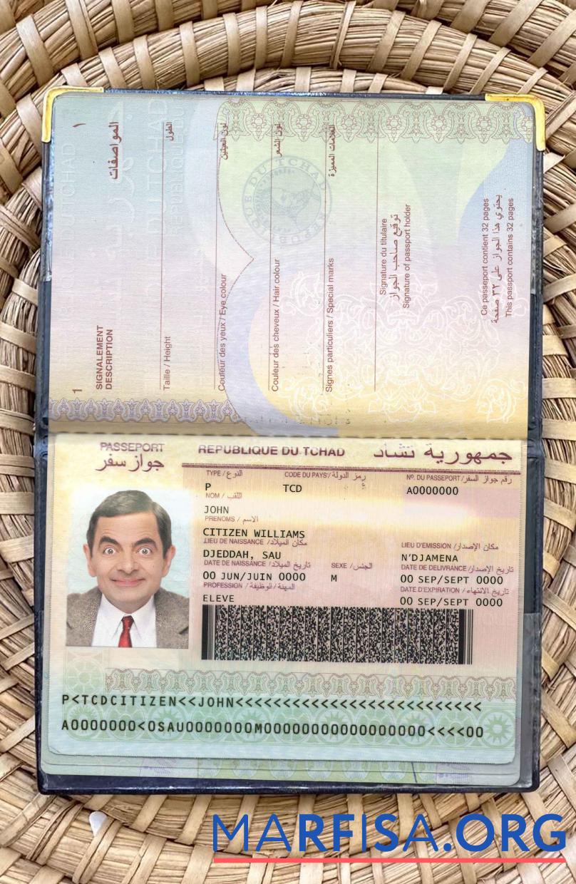 Downloadable Chad passport photo look real example